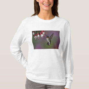 Männlicher Rubinkehlkolibri, Archilochus T-Shirt