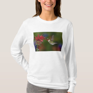 Männlicher Rubinkehlkolibri T-Shirt
