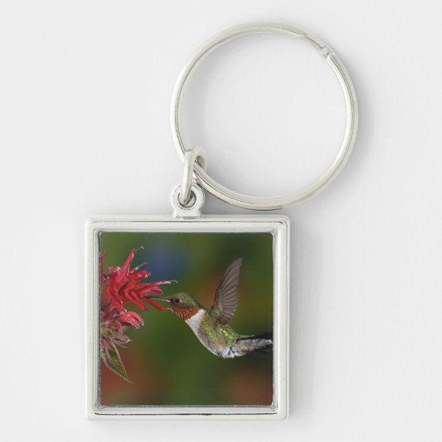 Männlicher Ruby-throated Hummingbird Schlüsselanhänger (Vorne)