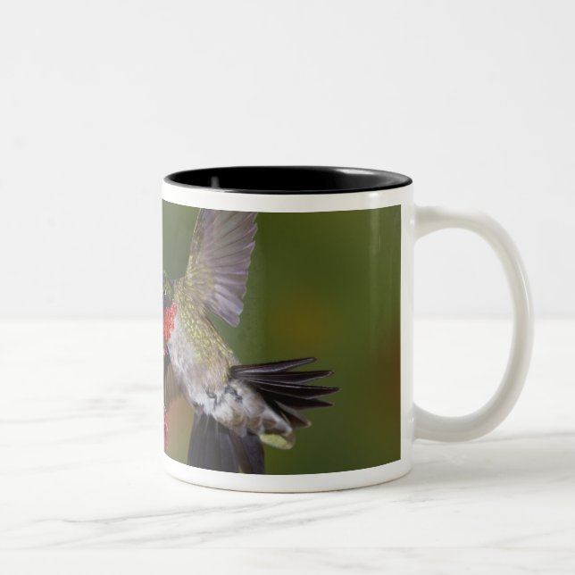 Männlicher Ruby-throated Hummingbird Zweifarbige Tasse (Rechts)
