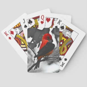 Männlicher Scharlachtangare Spielkarten