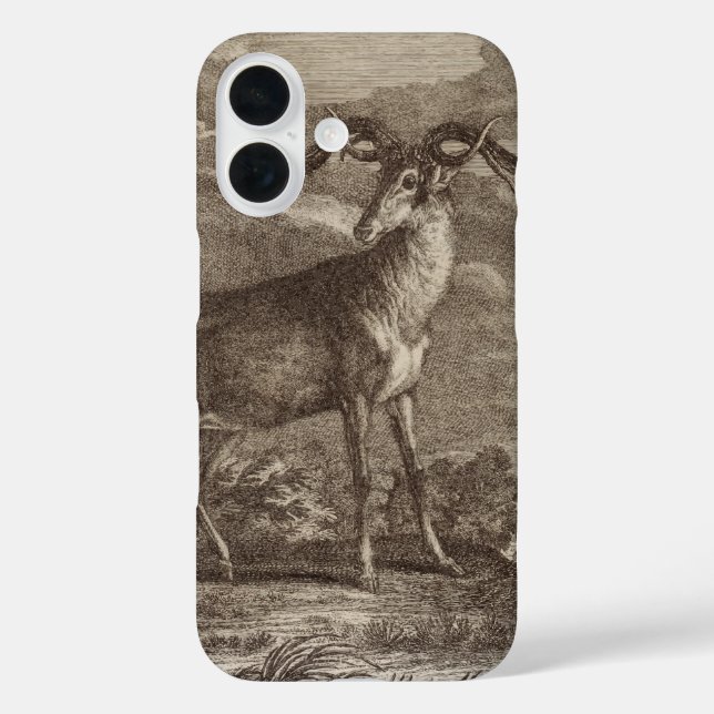 Männlicher und junger Rothirsch Case-Mate iPhone Hülle (Rückseite)