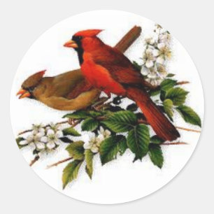 Männlicher und weiblicher Kardinal auf einem blühe Runder Aufkleber