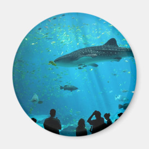 Männlicher Whale Hai im Georgia Aquarium Magnet