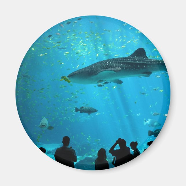 Männlicher Whale Hai im Georgia Aquarium Magnet (Vorne)