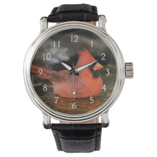 Männliches Baden des NordKardinals Armbanduhr