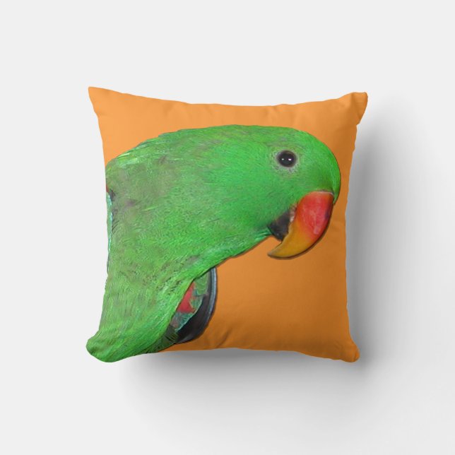 Männliches Eclectus Papageien-Wurfskissen Kissen (Vorderseite)
