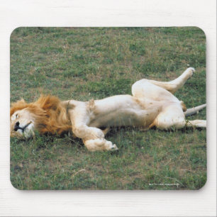 Männliches Löwe-Ausdehnen Mousepad