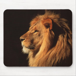 Männliches Löwe-Profil - Tier-Bilder durch Steve Mousepad