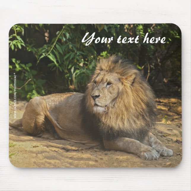 Männliches Löwen-Mauspad Mousepad (Vorne)