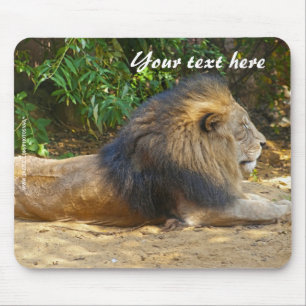 Männliches Löwen-Mauspad Mousepad