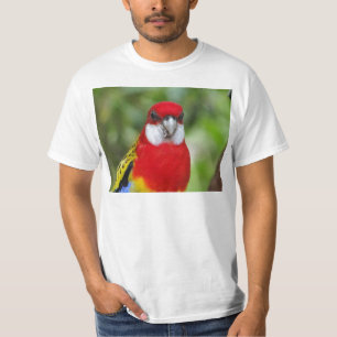 Männliches OstRosella T-Shirt