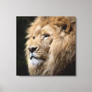 Männliches Portrait auf schwarzem Hintergrund Leinwanddruck