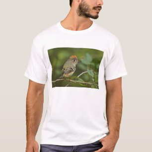 Männliches Ruby-Kronenkönigchen, Regulus calendula T-Shirt