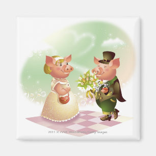 Männliches Schwein gibt einem weiblichen Schwein Magnet