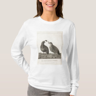 Männliches u. weibliches Rebhuhn von Kalifornien T-Shirt