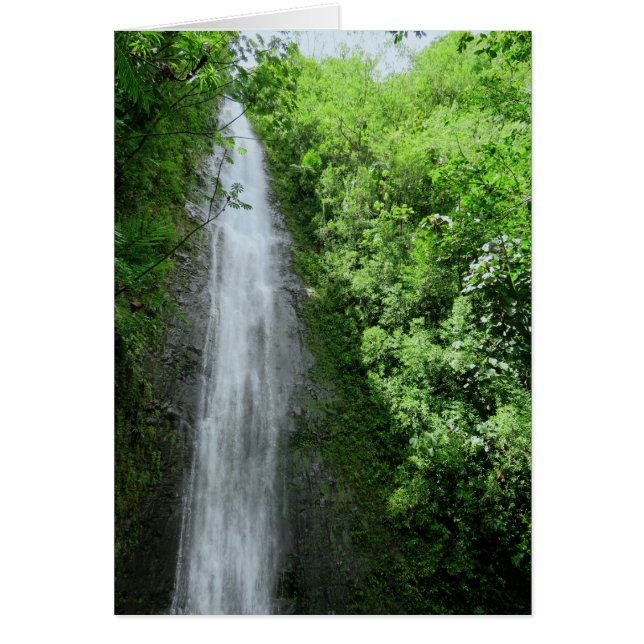 Manoa Falls (Vorne)