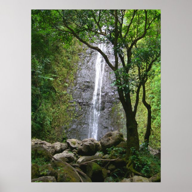 Manoa Falls, O'ahu, Hawai'i Poster (Vorne)