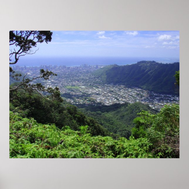 Manoa Valley, O'ahu, Hawai'i Poster (Vorne)