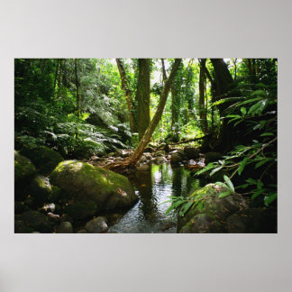 Manoa Valley Stream Poster