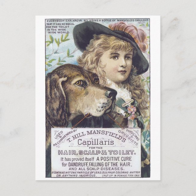 Mansfields Capallaris Postkarte (Vorderseite)