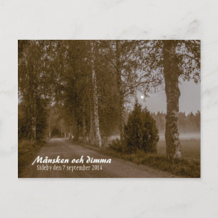 Månsken och dimma CC0545 Sideby Postcard Postkarte