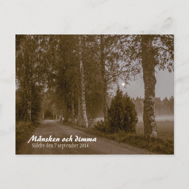 Månsken och dimma CC0545 Sideby Postcard Postkarte (Vorderseite)