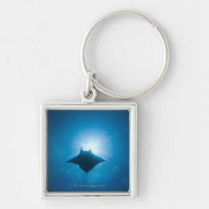 Manta, der underwater schwimmt schlüsselanhänger