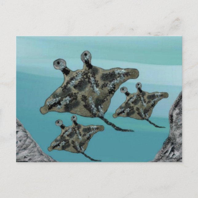 Manta Ray Family Postkarte (Vorderseite)