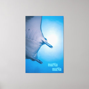 Manta ray leinwanddruck
