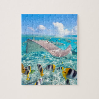 Manta Ray Puzzle