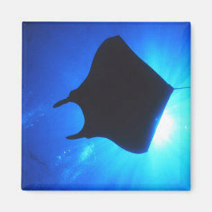 Manta Ray Silhouette Magnet