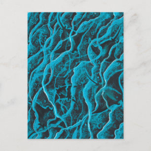 Manta Rays Ocean Fish Animals Waves Blue Black Art Postkarte