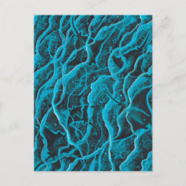 Manta Rays Ocean Fish Animals Waves Blue Black Art Postkarte