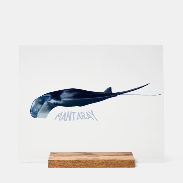 Mantarochen Acrylschild (Vorderseite)