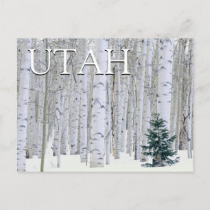 Manti-LaSal National Forest, Utah Happy Birthday Postkarte