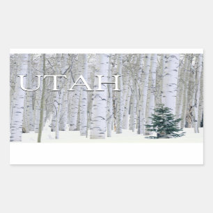Manti-LaSal National Forest, Utah Rechteckiger Aufkleber