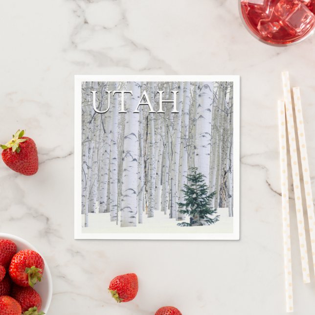 Manti-LaSal National Forest, Utah Serviette (Beispiel)
