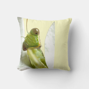 Mantid Kissen