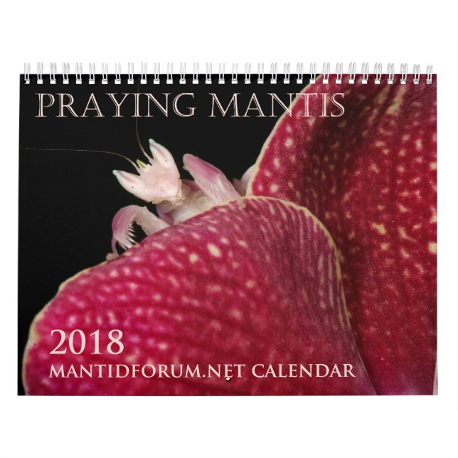 Mantidforum.net-Wandkalender 2018 (Alternative) Kalender (Titelbild)