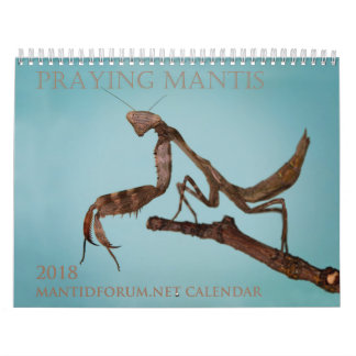 Mantidforum.net-Wandkalender 2018 Kalender