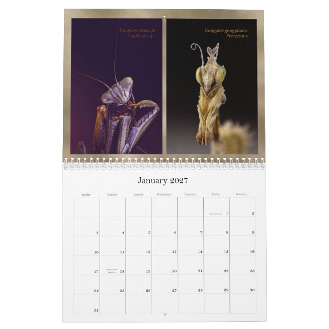 Mantidforum.nethauptmitgliedswandkalender 2015 kalender (Jan 2027)