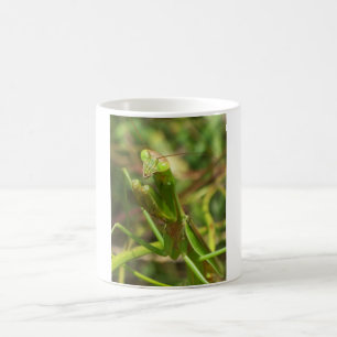 Mantis 8482 kaffeetasse