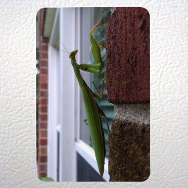 Mantis auf der Ziegelmauer beten Magnet