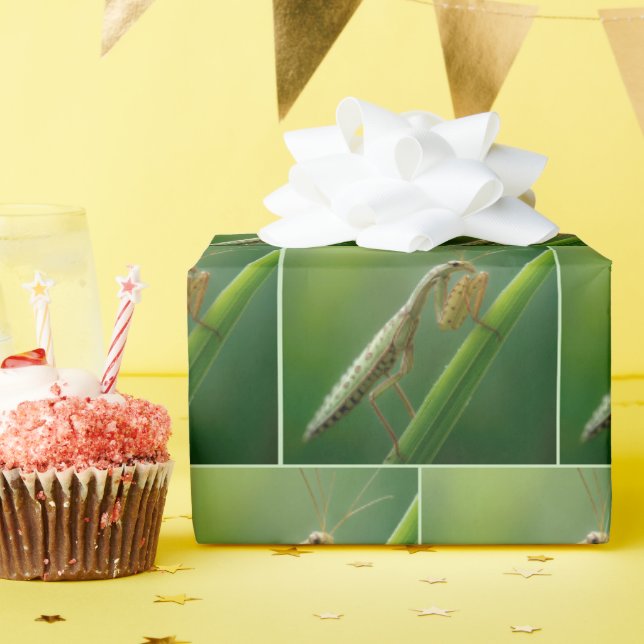 Mantis auf Gras beten Geschenkpapier (Geburtstagsparty)