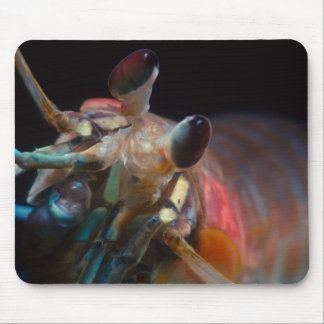 Mantis-Garnele-Mausunterlage Mousepad