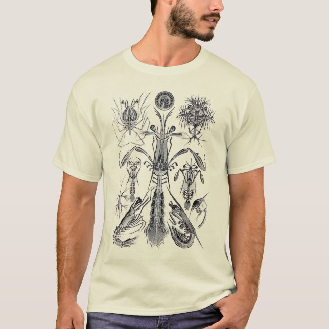 Mantis-Garnele T-Shirt (Vorderseite)