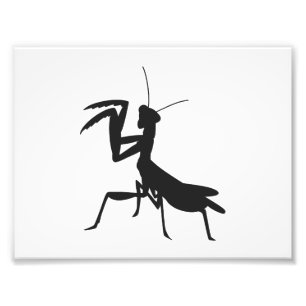 Mantis in Silhouette - Hintergrundfarbe auswählen Fotodruck