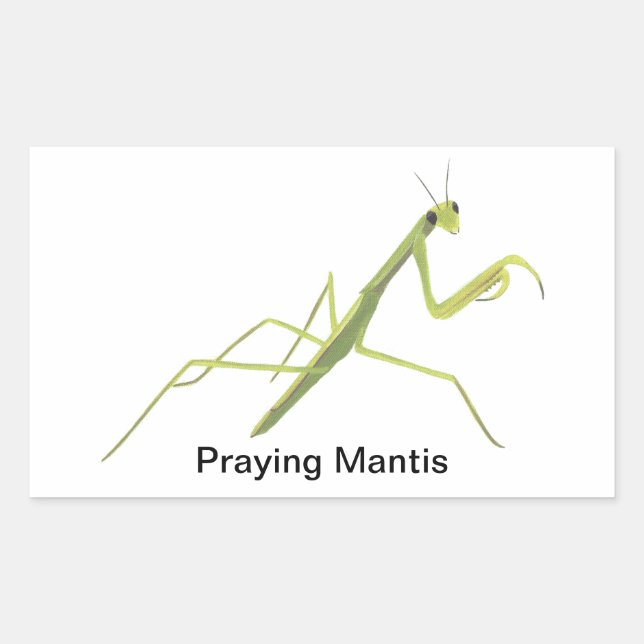 Mantis Insekt Painting Stickers beten (Vorderseite)