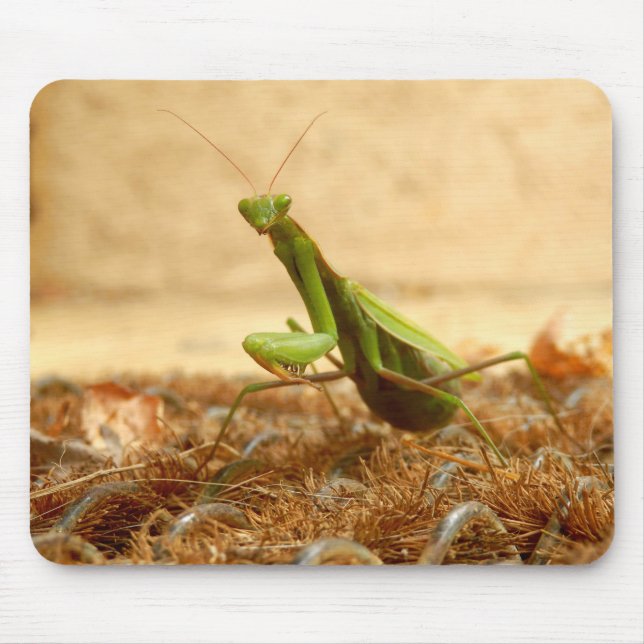 Mantis Mouse Mat beten Mousepad (Vorne)